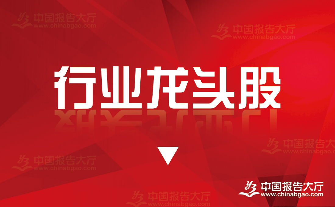 2024年存储芯片概念龙头股一览表（存储芯片概念龙头）