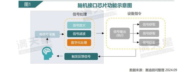 IT新语｜赛迪顾问：脑机接口芯片：探索大脑奥秘开启未来智能交互新征程（2024年第9期（总第15期））