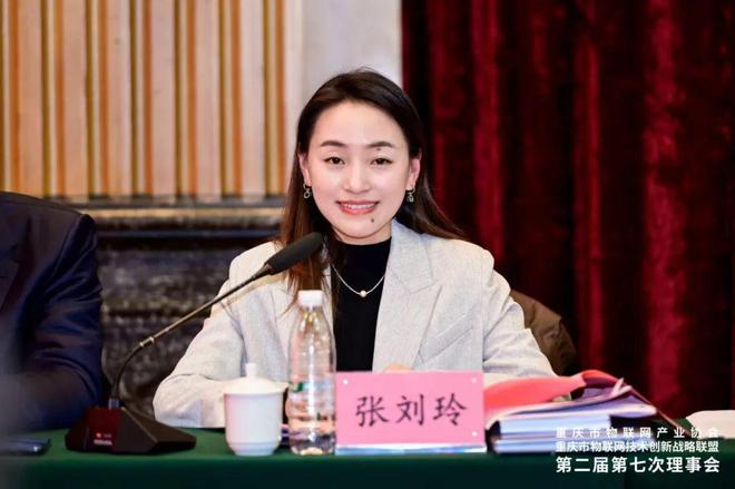 重庆市物联网产业协会重庆市物联网技术创新战略联盟第二届第七次理事会成功召开(图3)