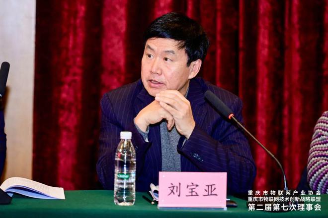重庆市物联网产业协会重庆市物联网技术创新战略联盟第二届第七次理事会成功召开(图7)